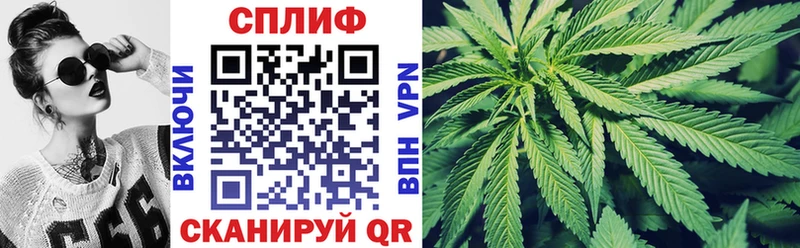Как найти наркотики Асино ГАШ  Марихуана  A-PVP  МЕФ 