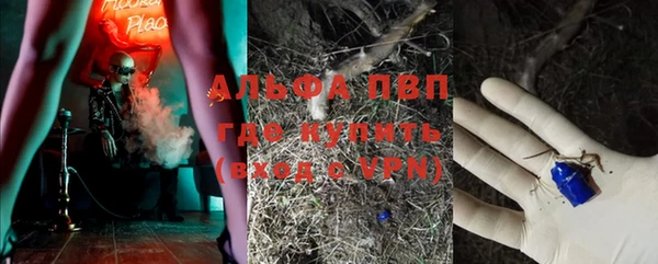 сатива Алексеевка