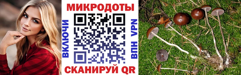 Псилоцибиновые грибы GOLDEN TEACHER  Асино 
