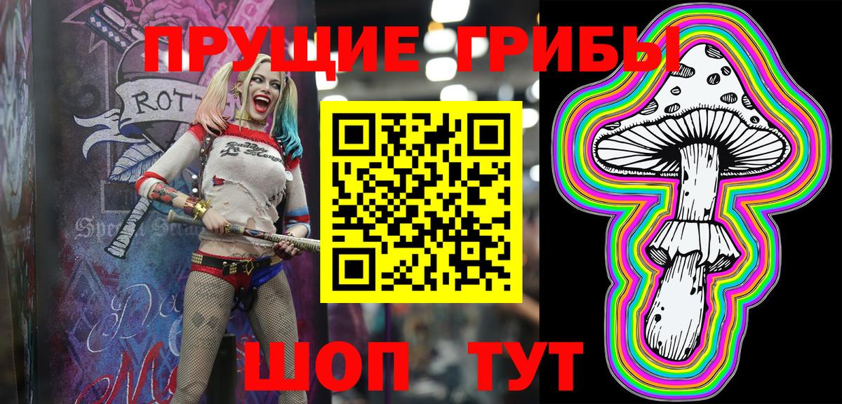 Псилоцибиновые грибы Psilocybine cubensis  Вход с VPN  Асино 